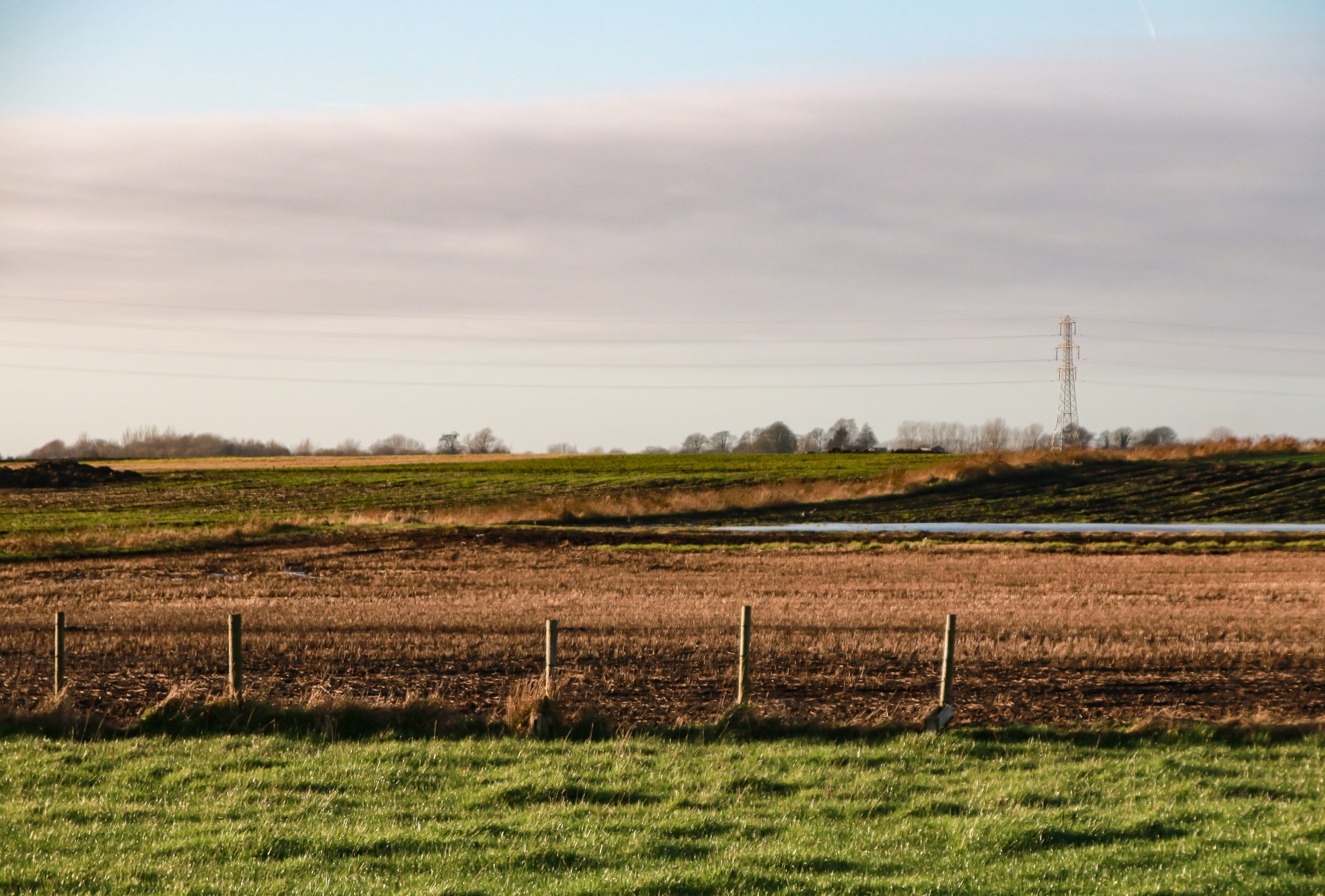 Vente d’un terrain agricole : étapes clés et conseils pratiques pour réussir